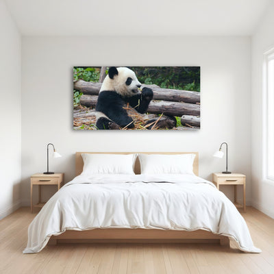 AUTO-MOCKUP ROOM | Panda bear eating bamboo