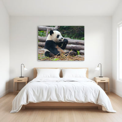 AUTO-MOCKUP ROOM | Panda bear eating bamboo