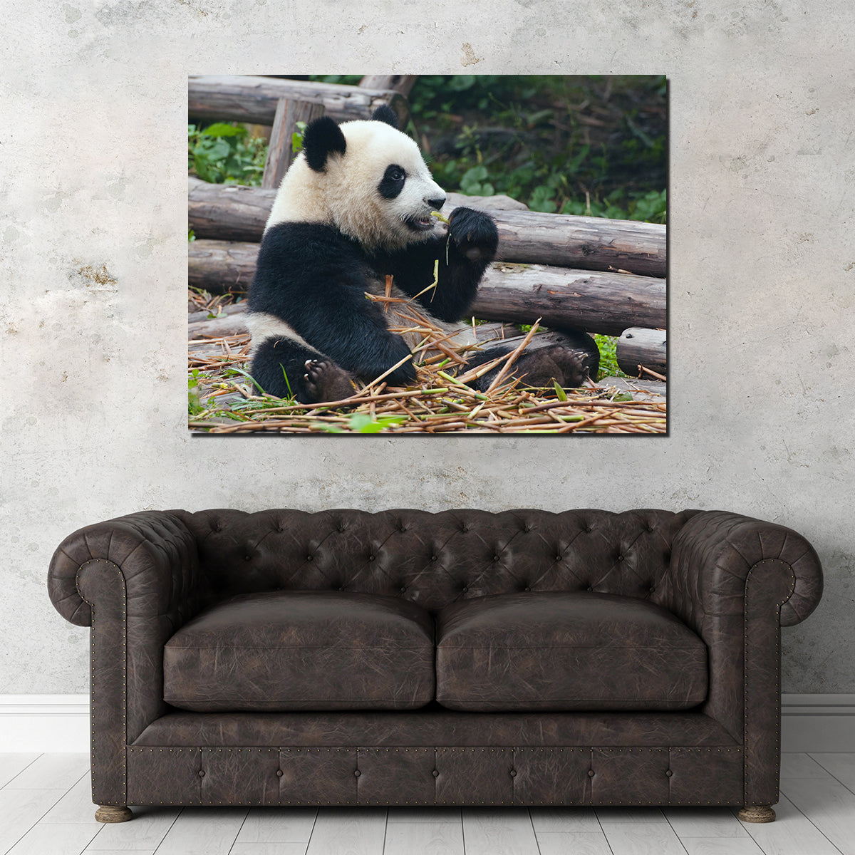 Panda Bear Eating Bamboo Wall Art