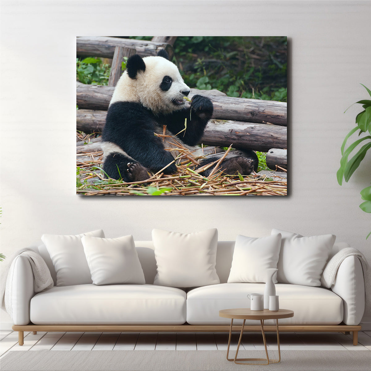 Panda Bear Eating Bamboo Wall Art