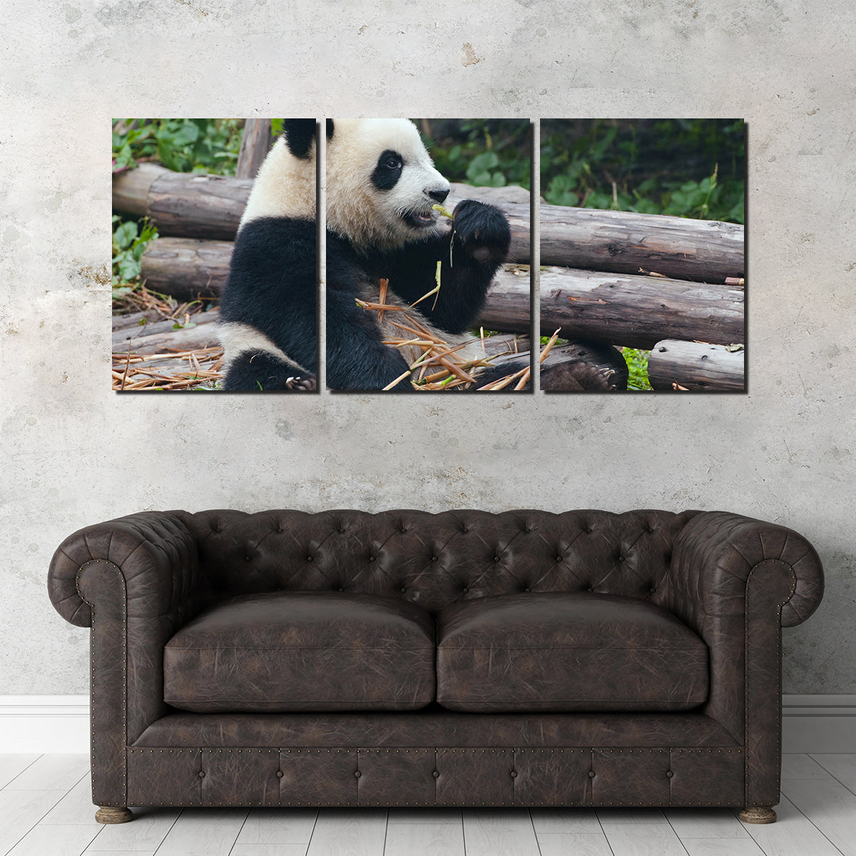 Panda Bear Eating Bamboo Wall Art