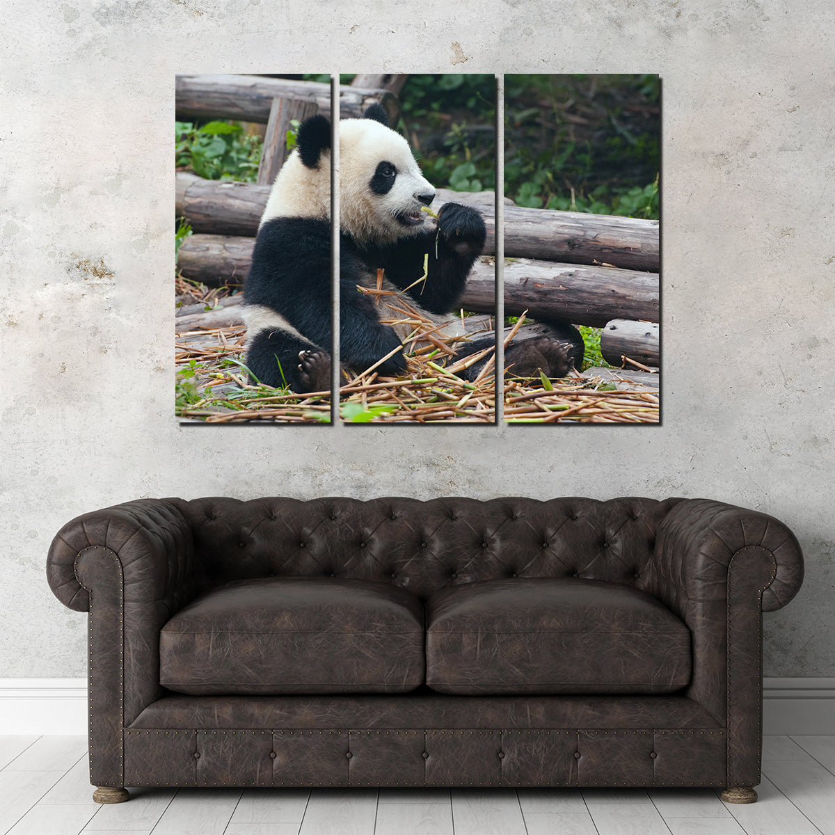 Panda Bear Eating Bamboo Wall Art