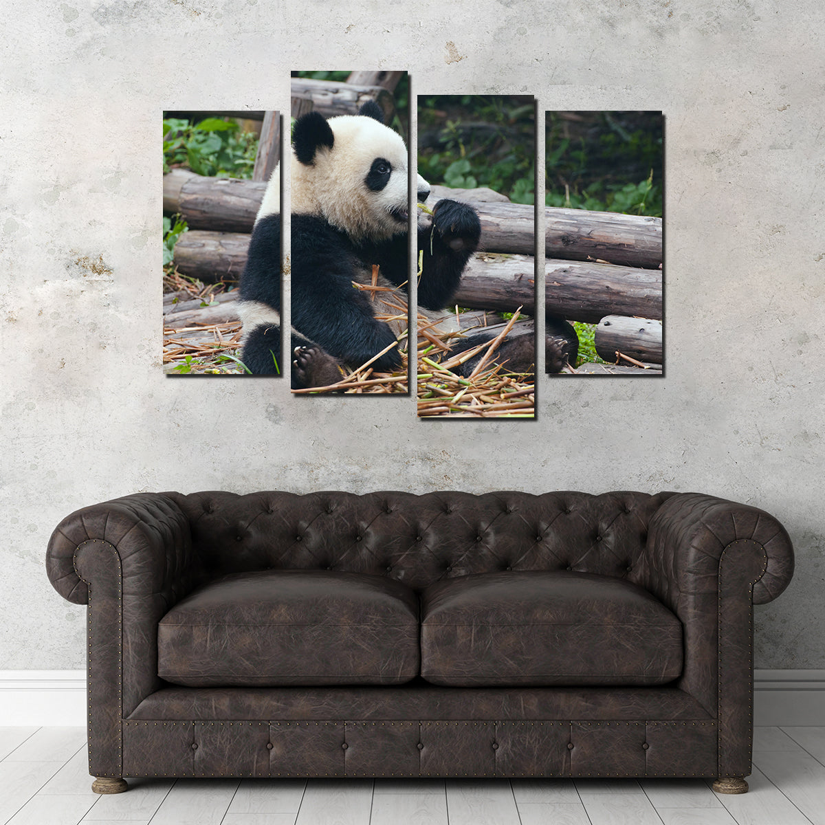 Panda Bear Eating Bamboo Wall Art