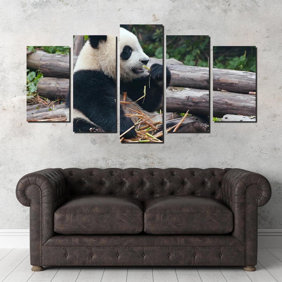 Panda Bear Eating Bamboo Wall Art