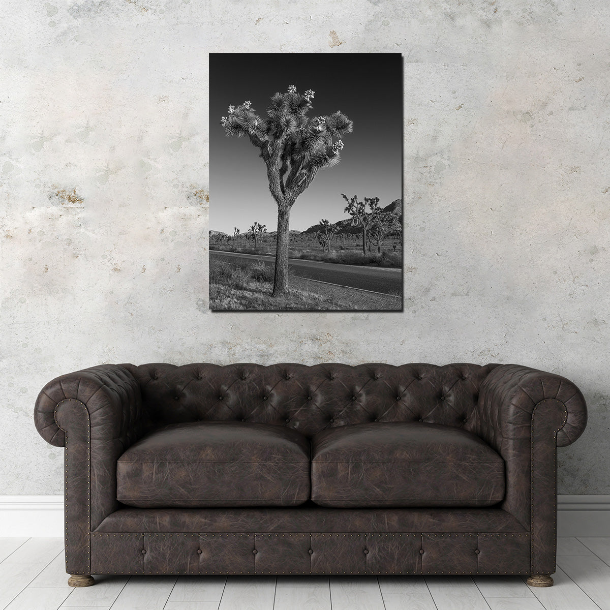 Park Boulevard and Joshua Tree Wall Art