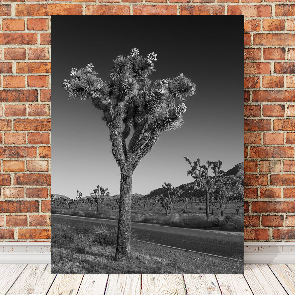 Park Boulevard and Joshua Tree Wall Art