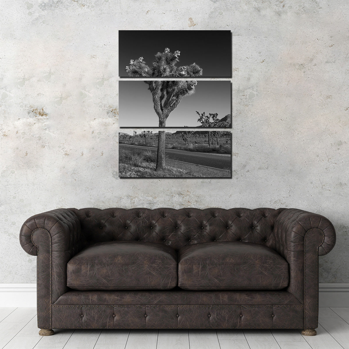 Park Boulevard and Joshua Tree Wall Art