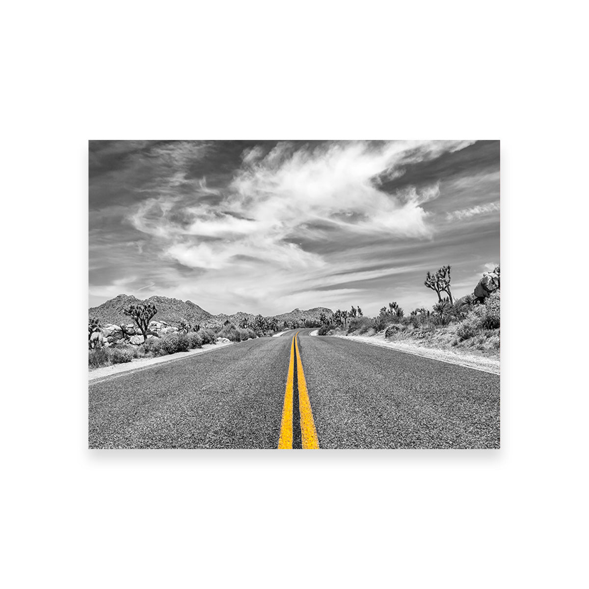 Park Boulevard with Joshua Trees Wall Art