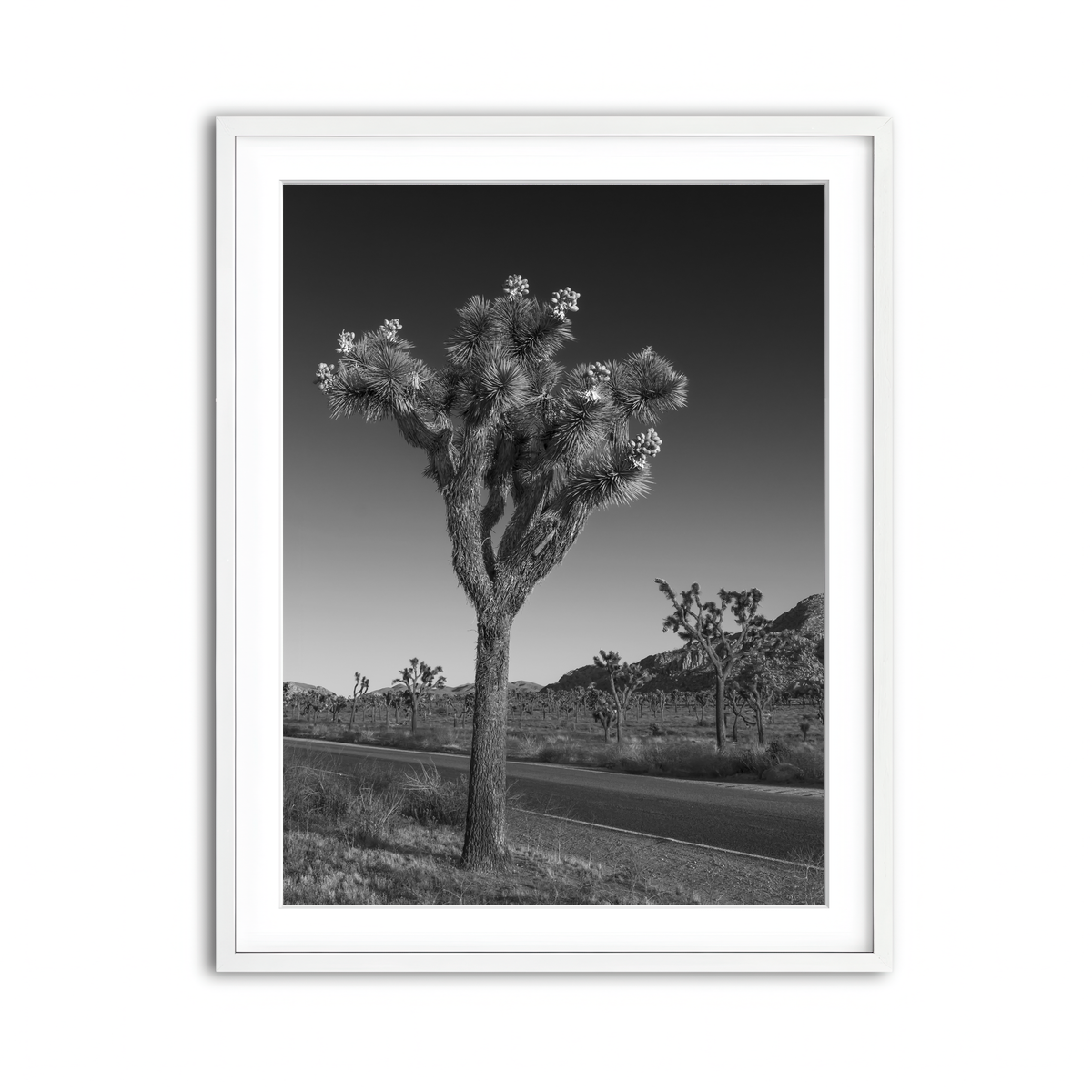 Framed Print 3x4 White