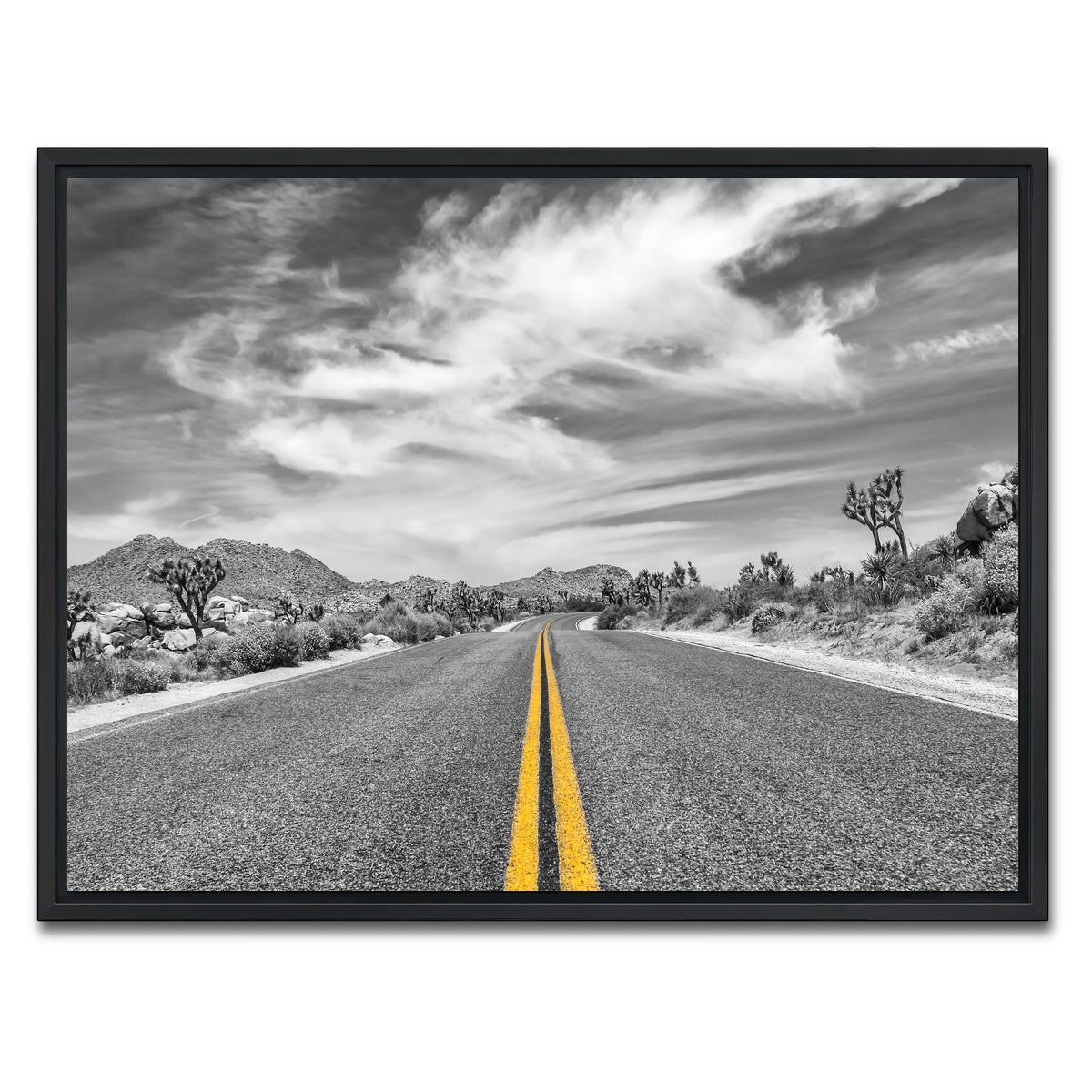 AUTO-MOCKUP WHITE | Park Boulevard with Joshua Trees | 1 Piece | Black Framed Canvas | group=4x3
