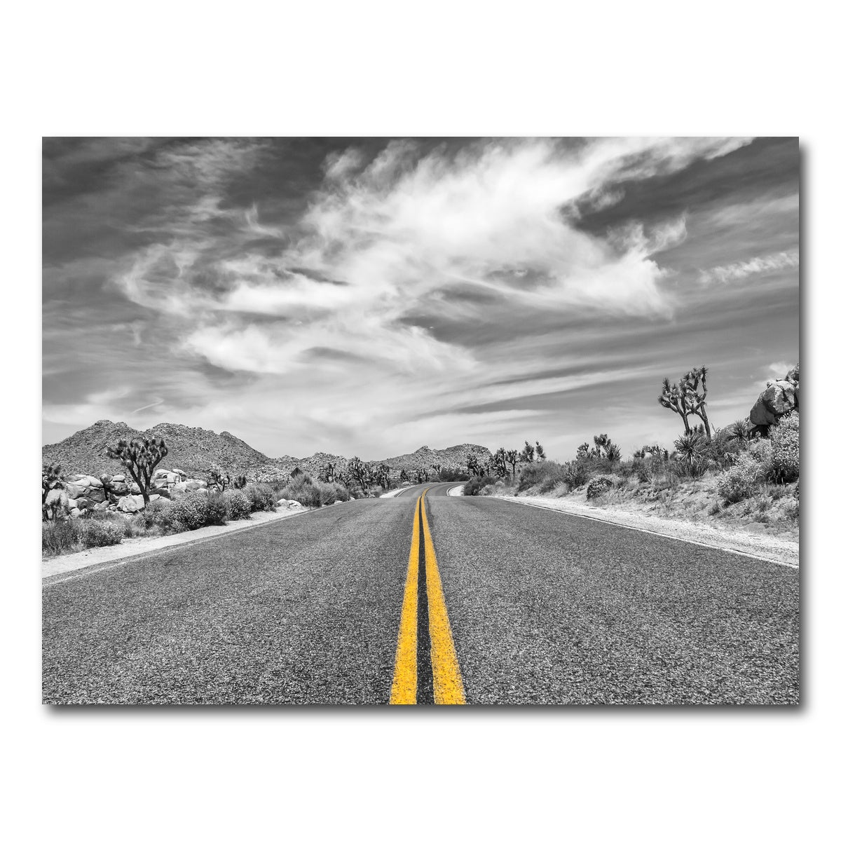 AUTO-MOCKUP WHITE | Park Boulevard with Joshua Trees | 1 Piece | Gallery Wrap Canvas | group=4x3