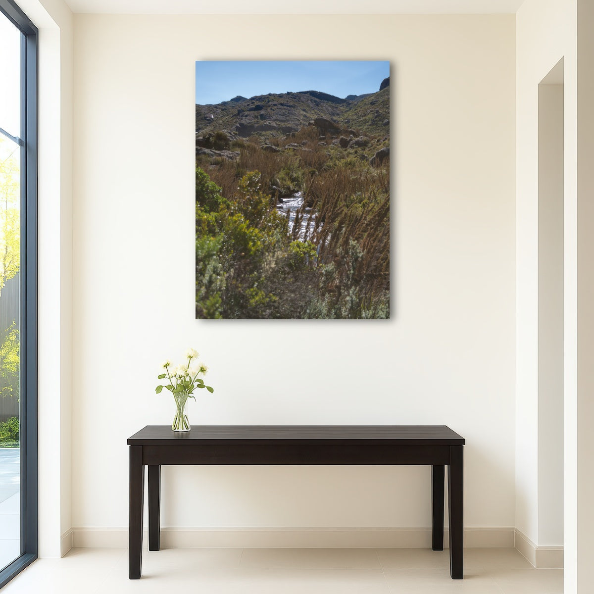 AUTO-MOCKUP ROOM | Path - Itatiaia National Park Brazil