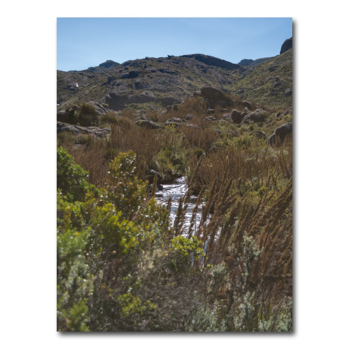 AUTO-MOCKUP WHITE | Path - Itatiaia National Park Brazil | 1 Piece | Gallery Wrap Canvas | group=3x4