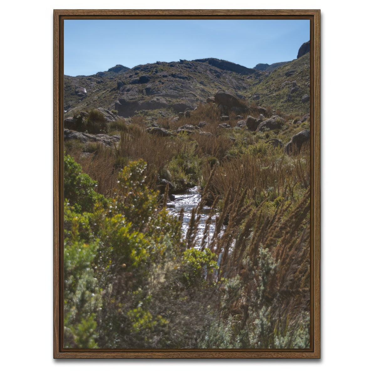 AUTO-MOCKUP WHITE | Path - Itatiaia National Park Brazil | 1 Piece | Walnut Framed Canvas | group=3x4