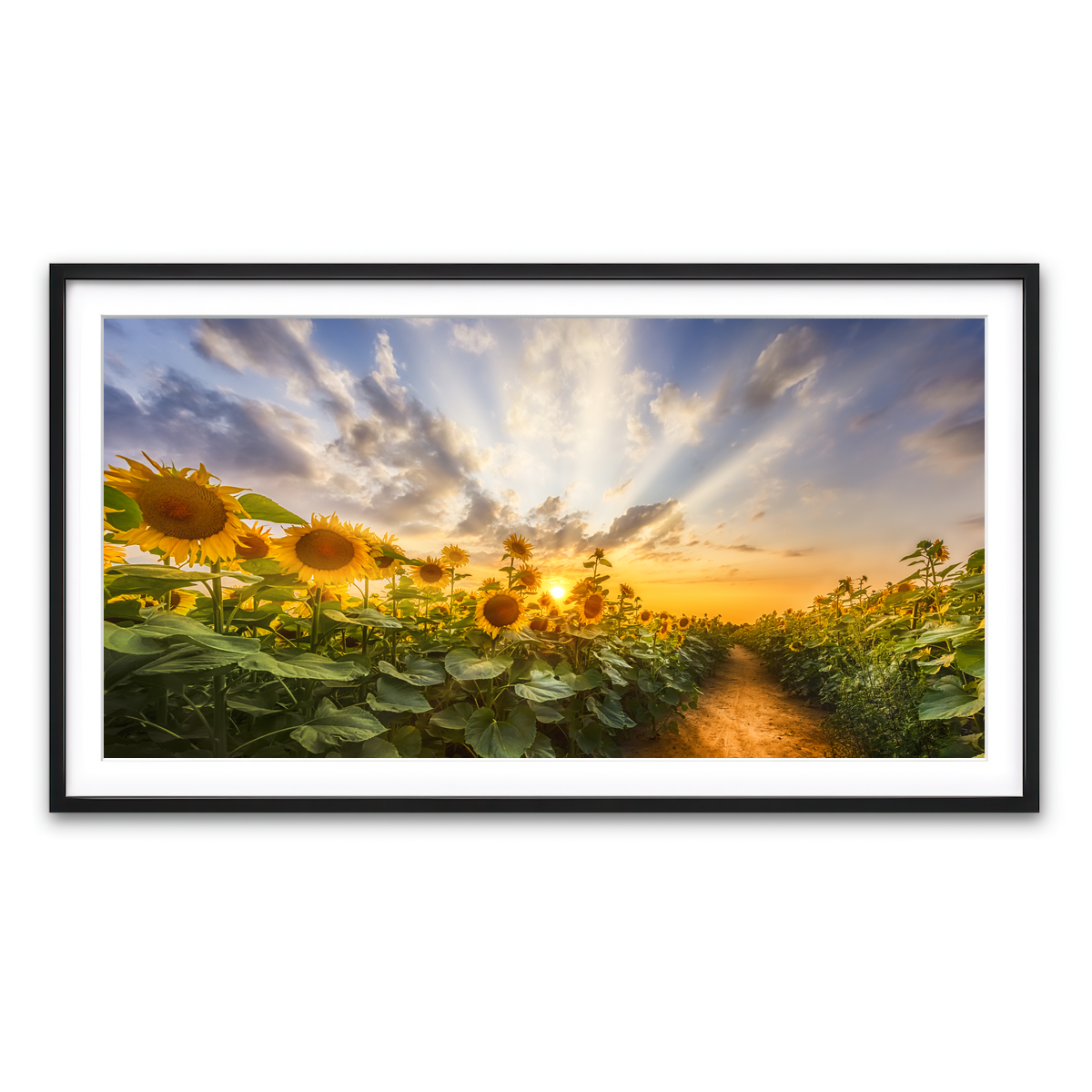 Framed Print 2x1 Black