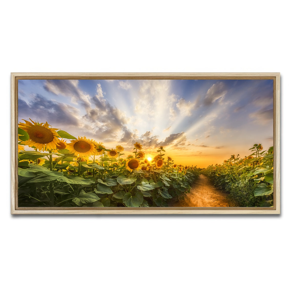AUTO-MOCKUP WHITE | Path through the sunflower field | 1 Piece | Natural Framed Canvas | group=2x1