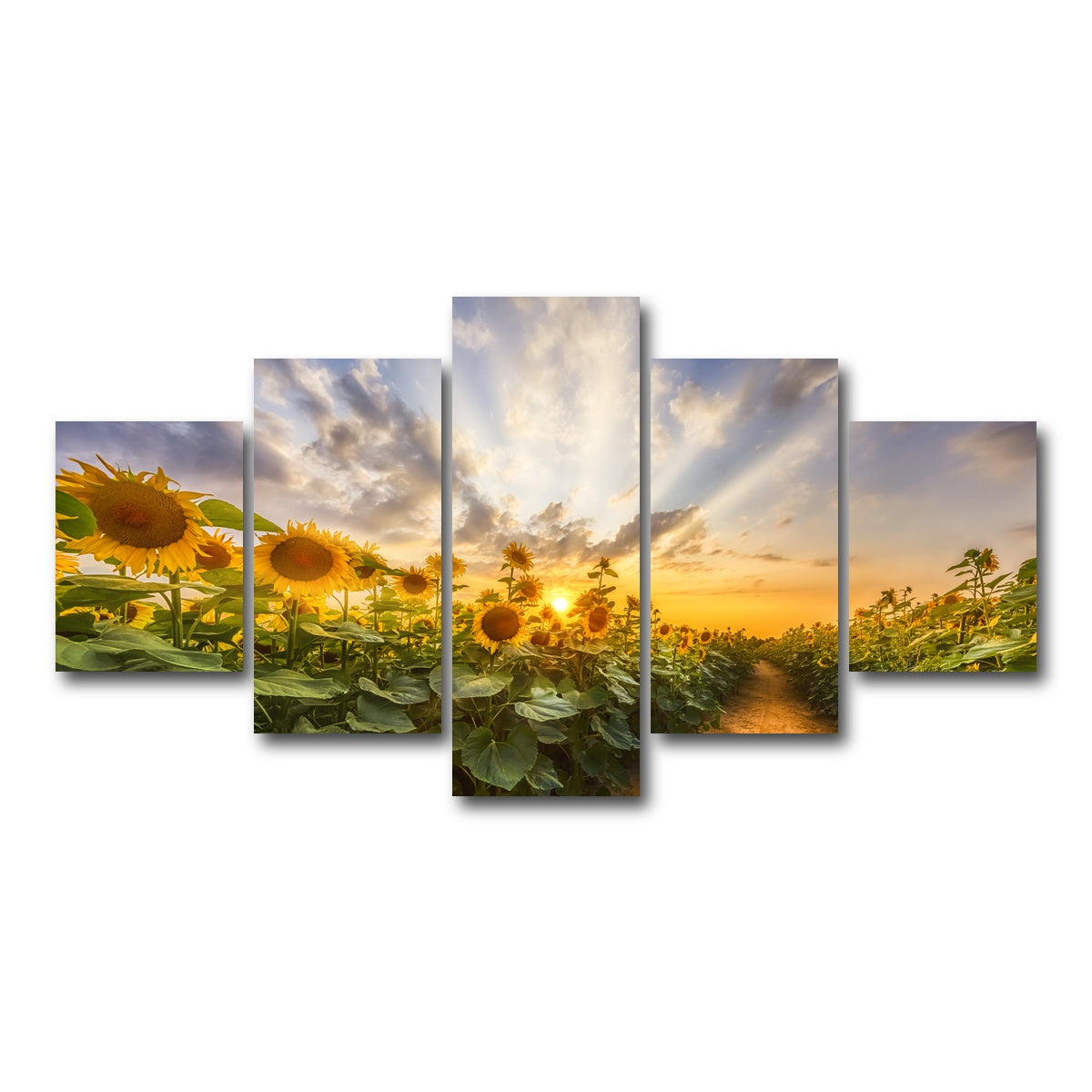 AUTO-MOCKUP WHITE | Path through the sunflower field | 5 Piece | Gallery Wrap Canvas | group=5_short