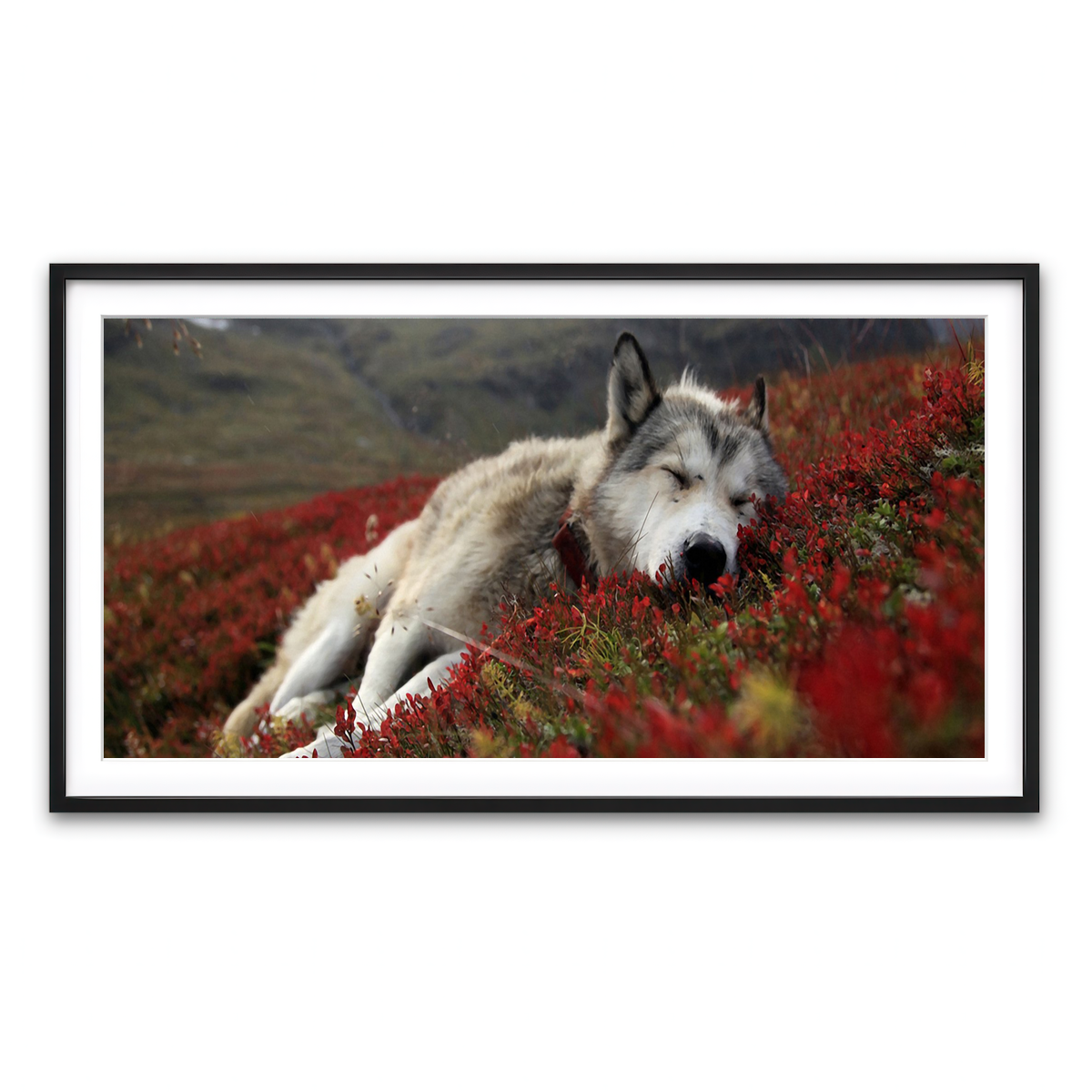 Framed Print 2x1 Black