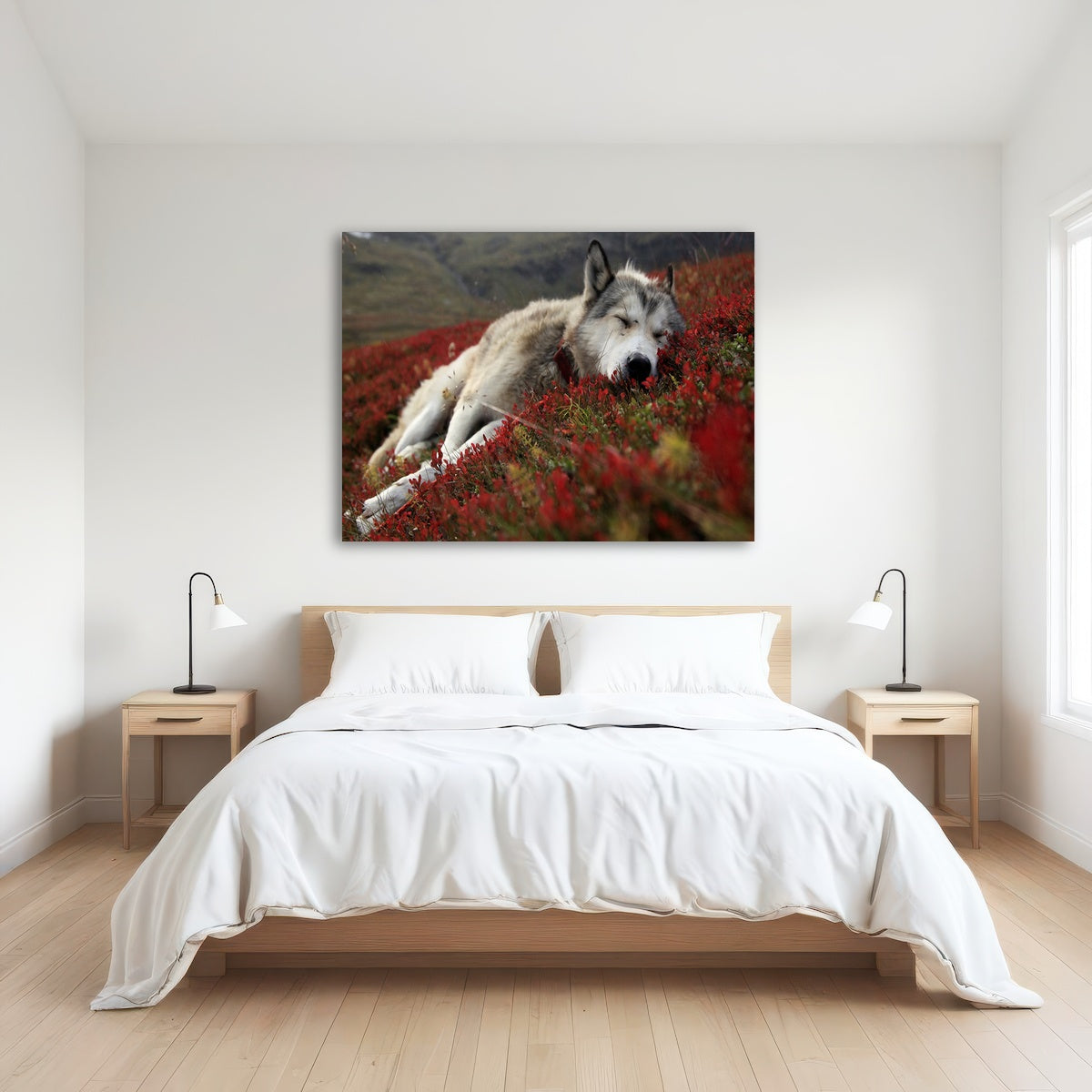 AUTO-MOCKUP ROOM | Peaceful pup