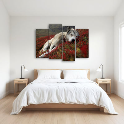 AUTO-MOCKUP ROOM | Peaceful pup