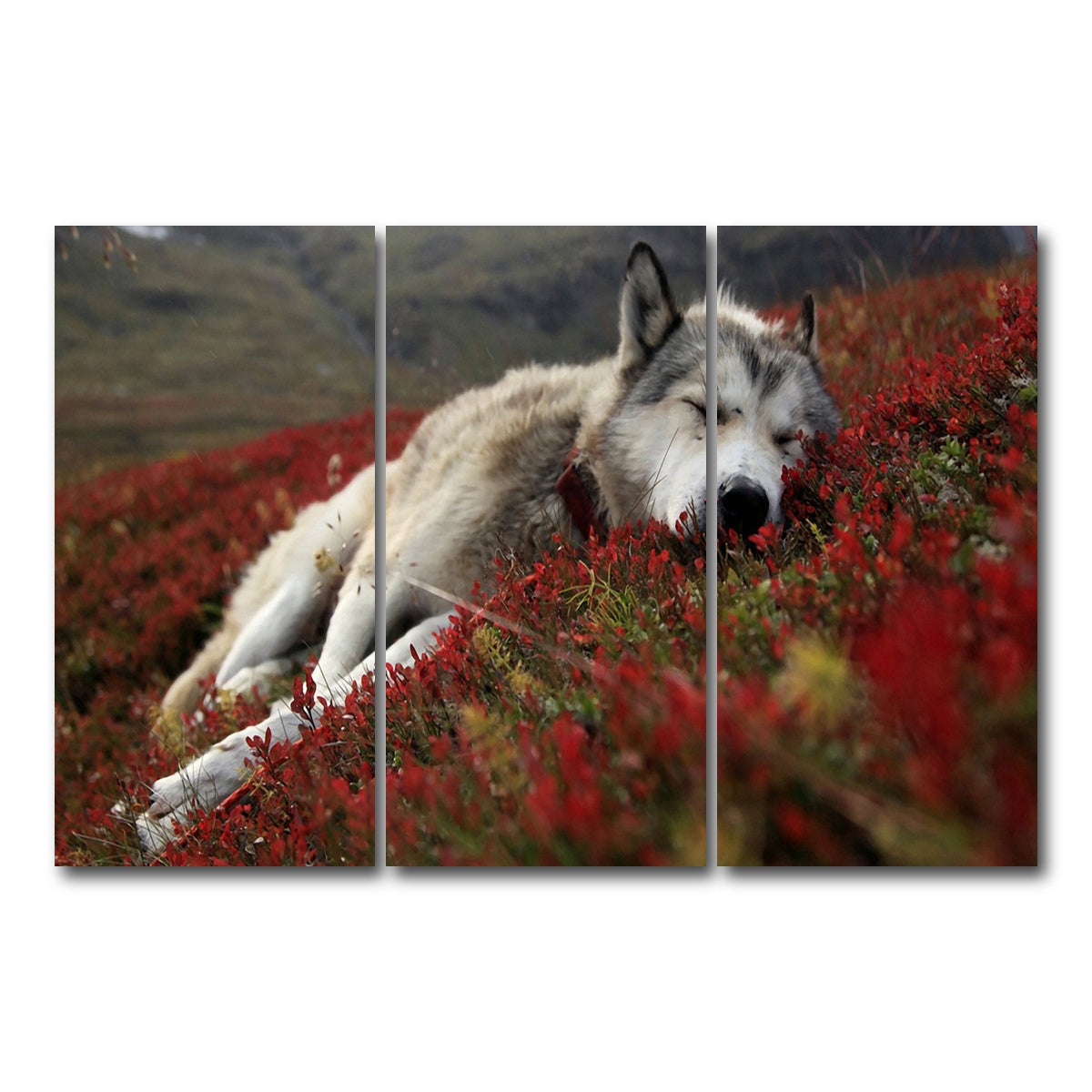 AUTO-MOCKUP WHITE | Peaceful pup | 3 Piece | Gallery Wrap Canvas | group=12x24