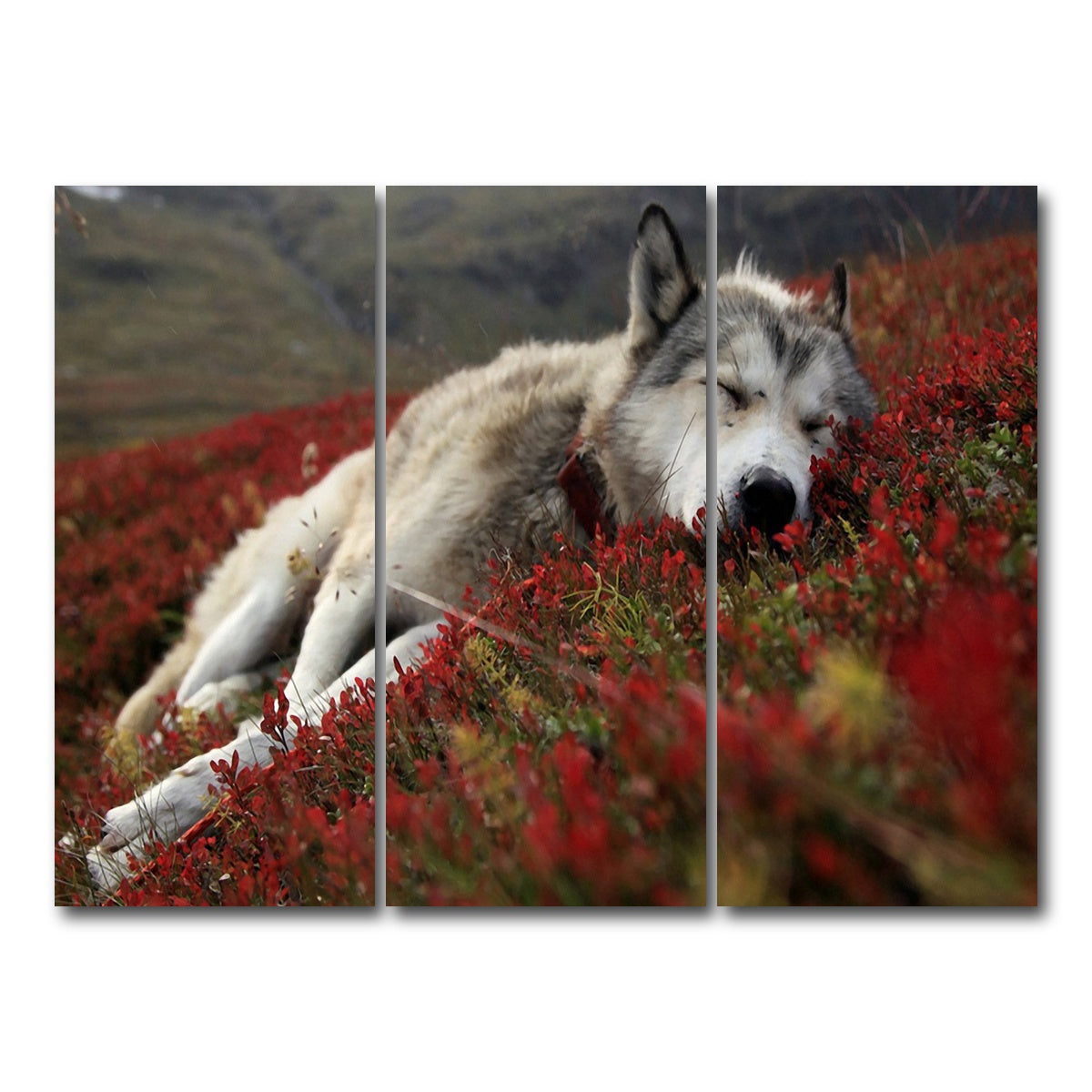 AUTO-MOCKUP WHITE | Peaceful pup | 3 Piece | Gallery Wrap Canvas | group=8x18