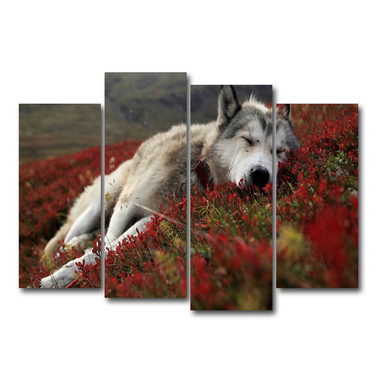 AUTO-MOCKUP WHITE | Peaceful pup | 4 Piece | Gallery Wrap Canvas | group=4_normal