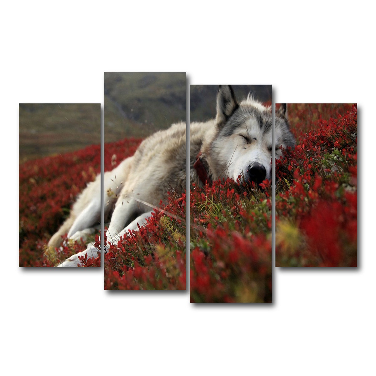 AUTO-MOCKUP WHITE | Peaceful pup | 4 Piece | Gallery Wrap Canvas | group=4_short