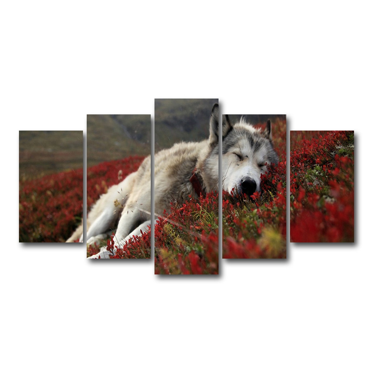 AUTO-MOCKUP WHITE | Peaceful pup | 5 Piece | Gallery Wrap Canvas | group=5_normal
