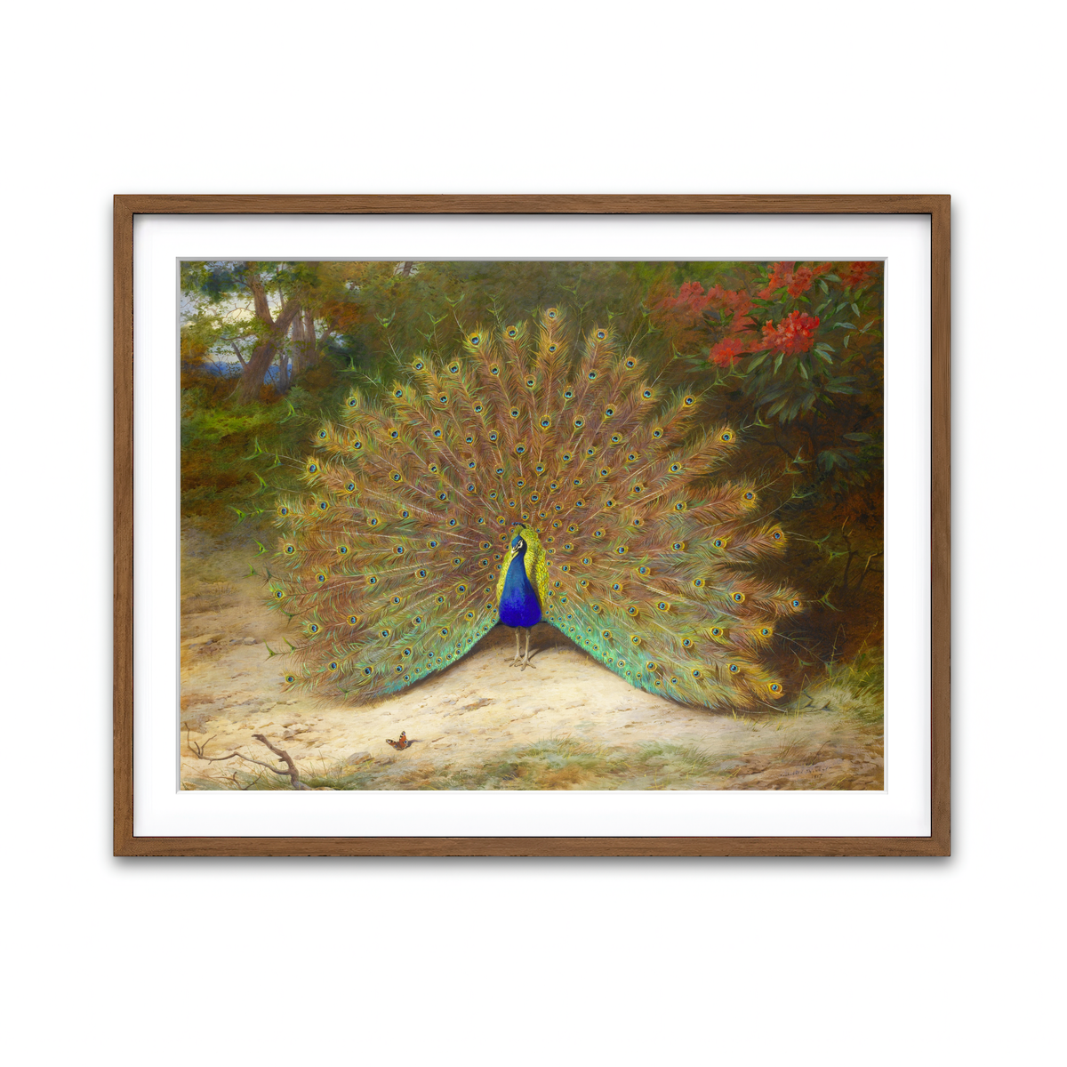 Framed Print 4x3 Walnut