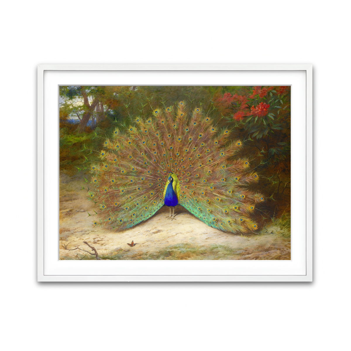 Framed Print 4x3 White