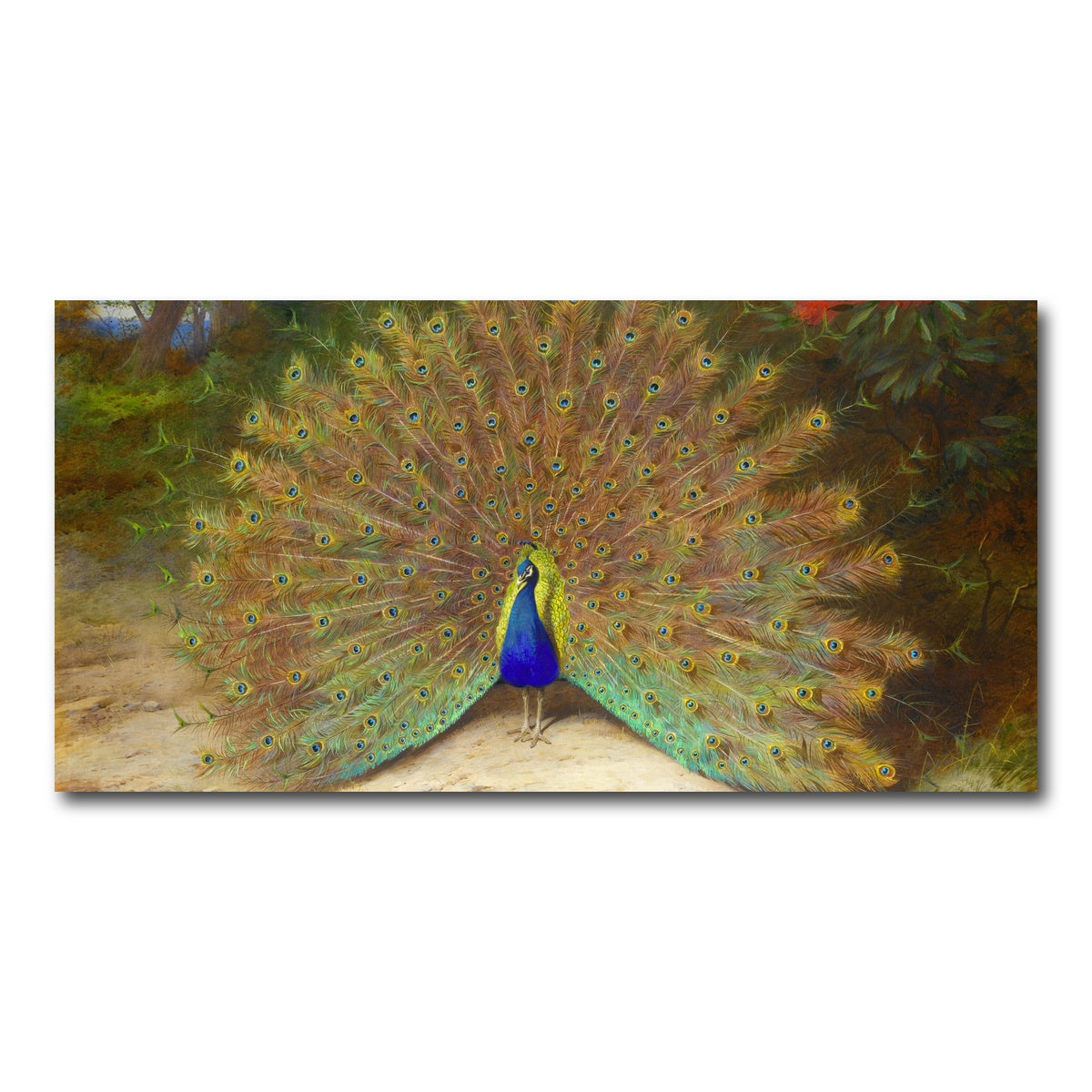AUTO-MOCKUP WHITE | Peacock and Butterfly | 1 Piece | Gallery Wrap Canvas | group=2x1
