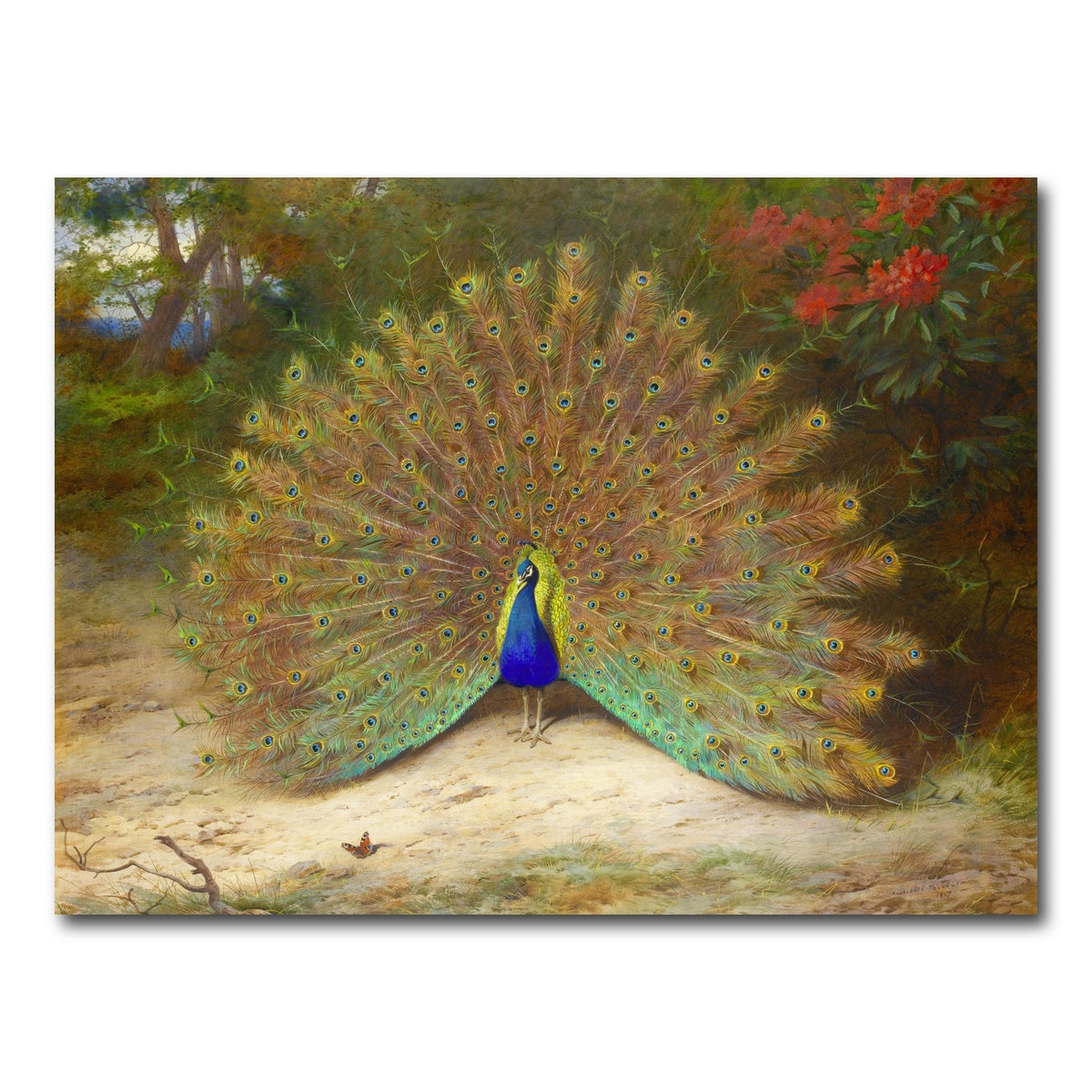 AUTO-MOCKUP WHITE | Peacock and Butterfly | 1 Piece | Gallery Wrap Canvas | group=4x3