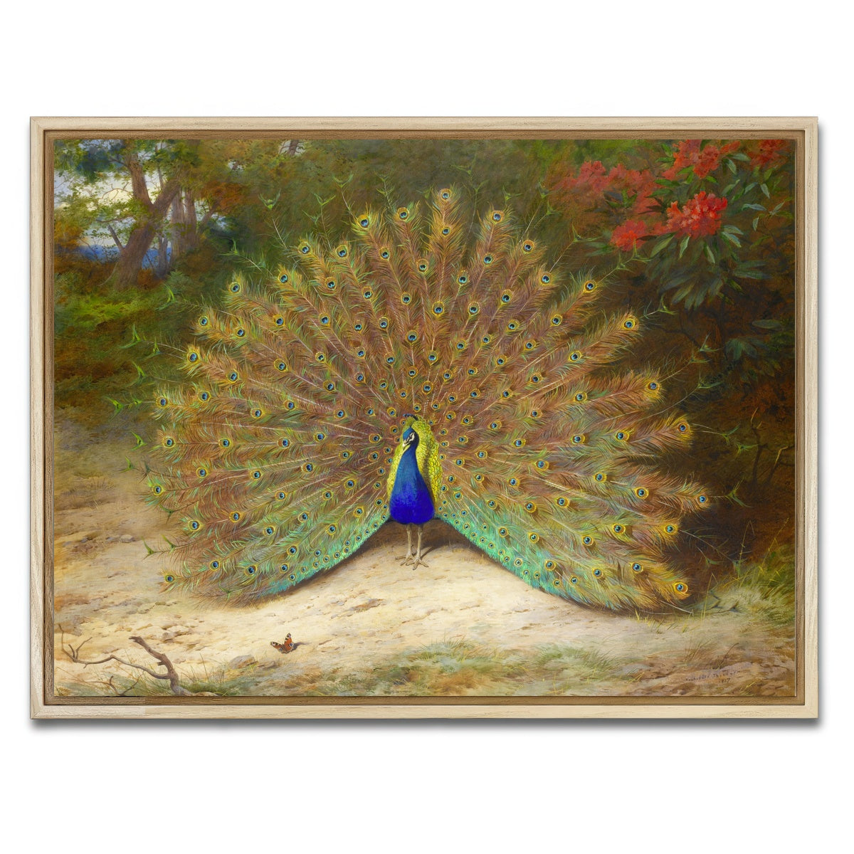 AUTO-MOCKUP WHITE | Peacock and Butterfly | 1 Piece | Natural Framed Canvas | group=4x3