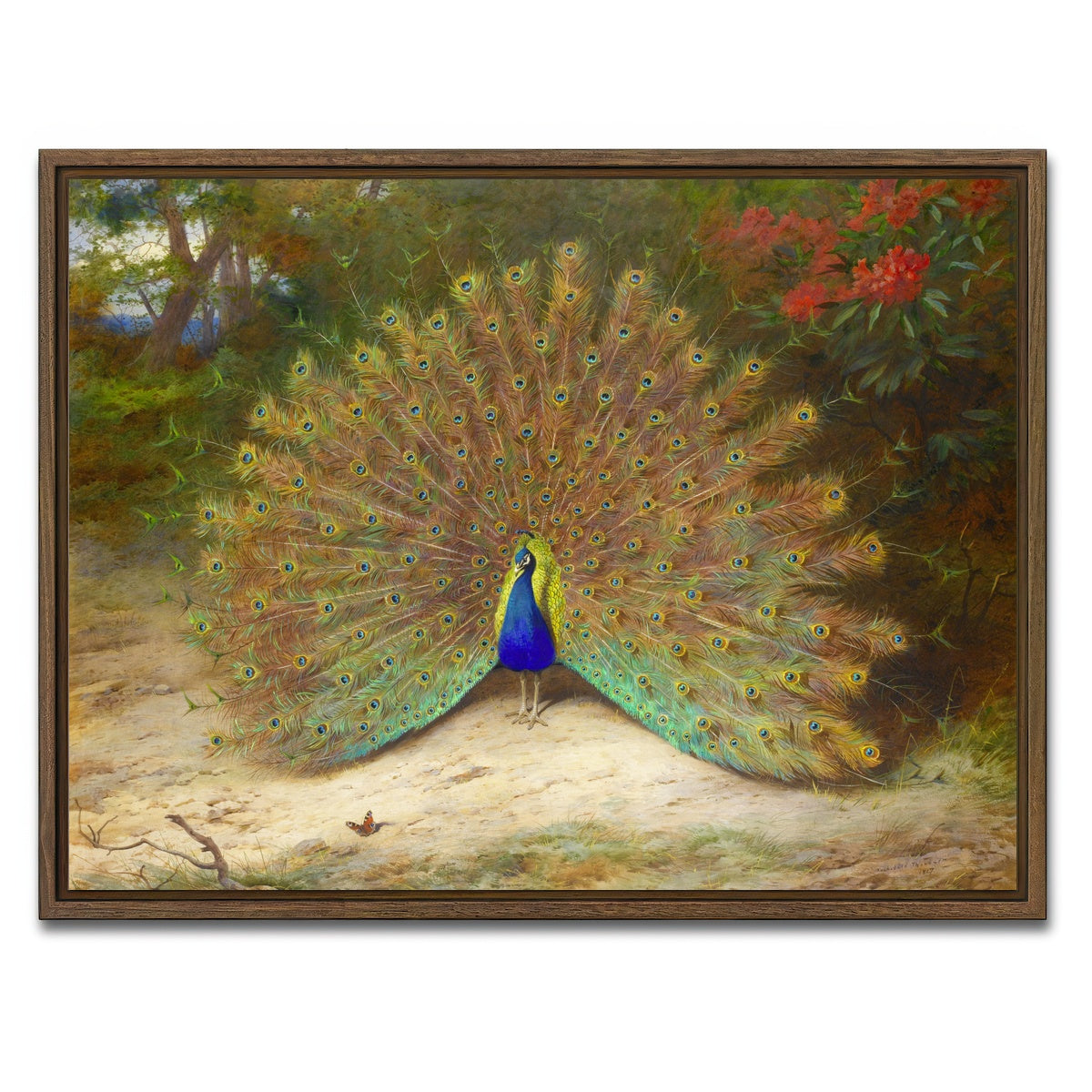 AUTO-MOCKUP WHITE | Peacock and Butterfly | 1 Piece | Walnut Framed Canvas | group=4x3