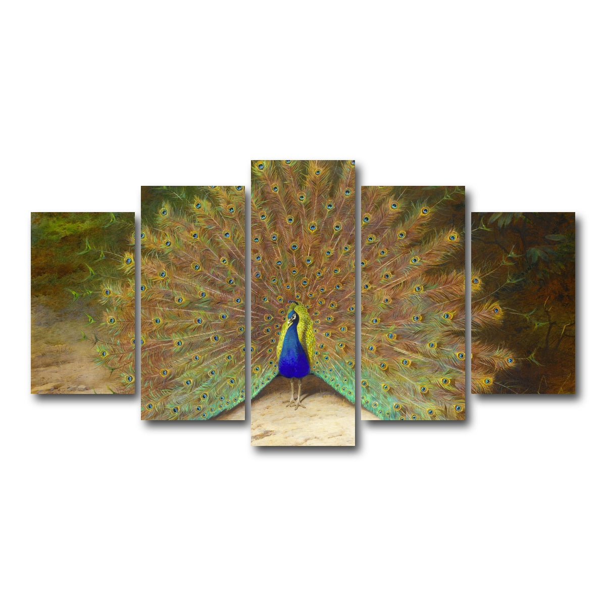 AUTO-MOCKUP WHITE | Peacock and Butterfly | 5 Piece | Gallery Wrap Canvas | group=5_normal