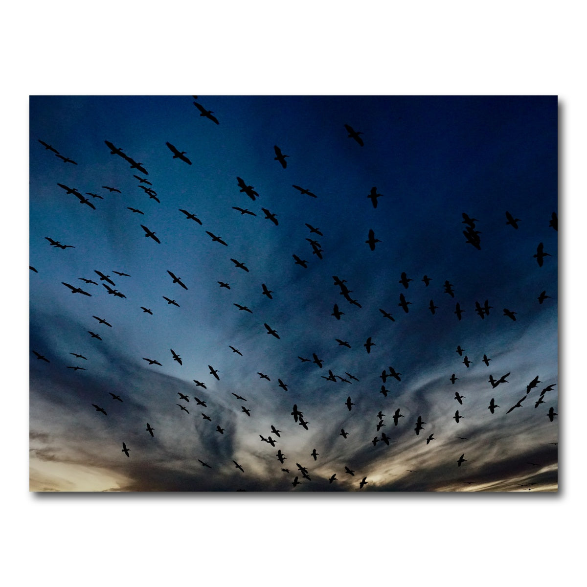 AUTO-MOCKUP WHITE | Pelican Migration Louisiana | 1 Piece | Gallery Wrap Canvas | group=4x3