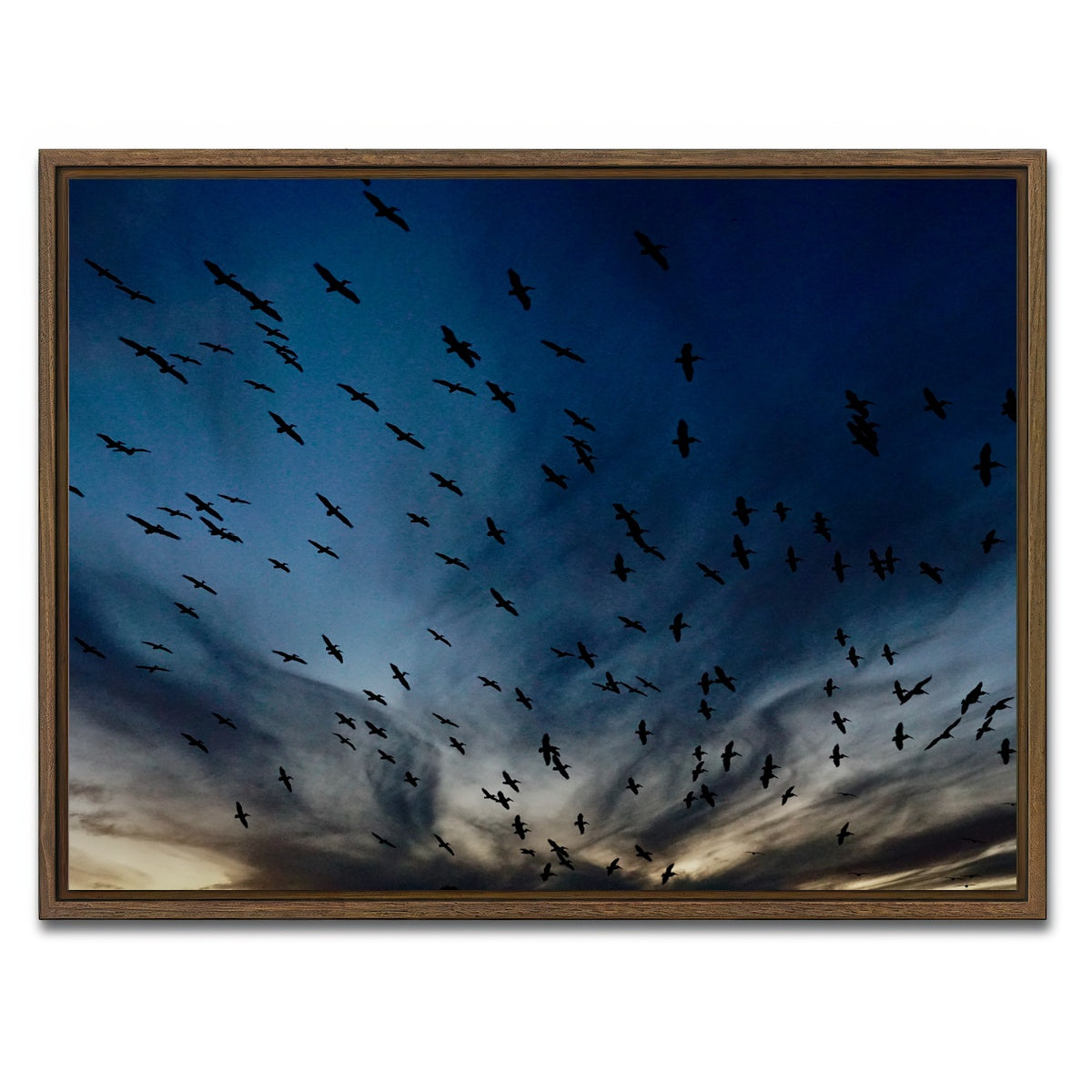 AUTO-MOCKUP WHITE | Pelican Migration Louisiana | 1 Piece | Walnut Framed Canvas | group=4x3