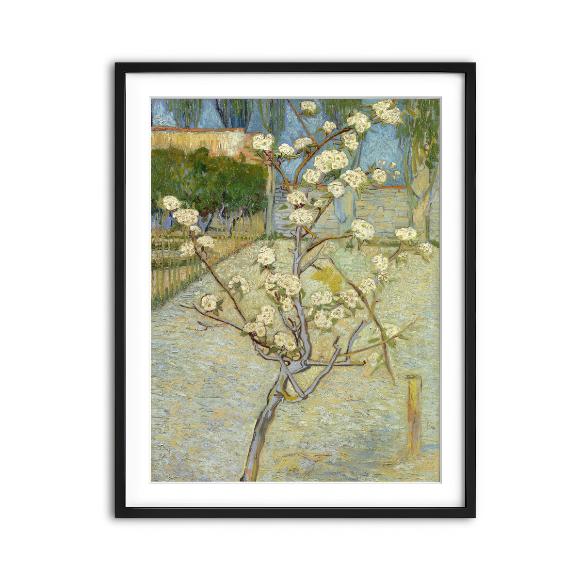 Framed Print 3x4 Black