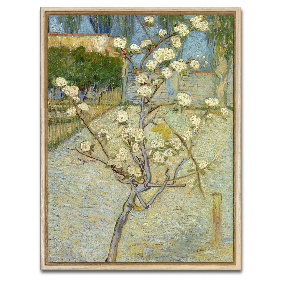 AUTO-MOCKUP WHITE | Perenboompje in bloei | 1 Piece | Natural Framed Canvas | group=3x4