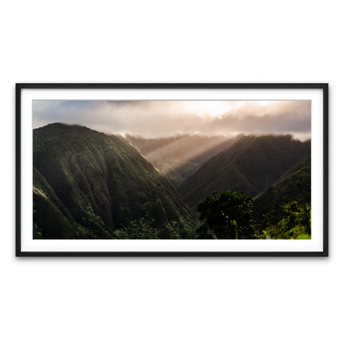 Framed Print 2x1 Black