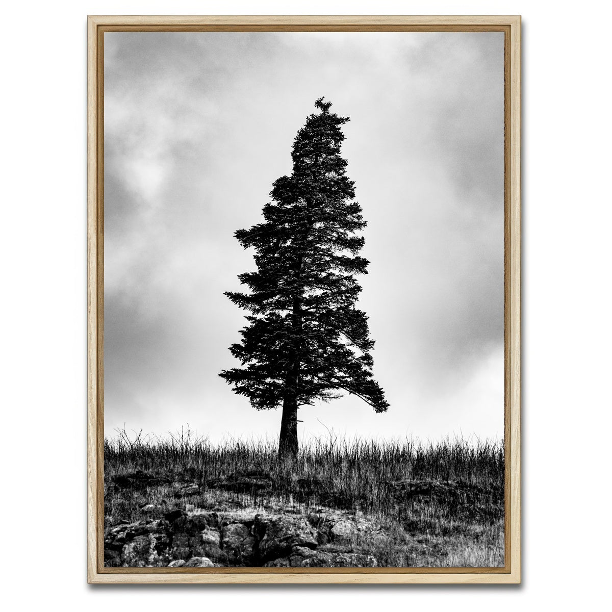 AUTO-MOCKUP WHITE | Pine | 1 Piece | Natural Framed Canvas | group=3x4