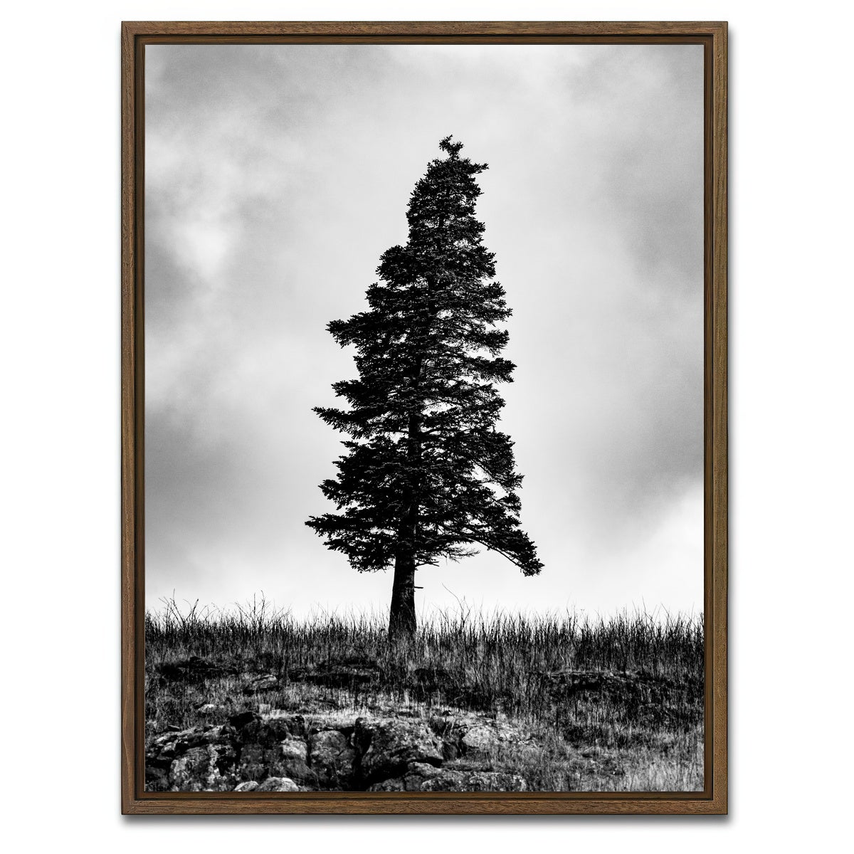 AUTO-MOCKUP WHITE | Pine | 1 Piece | Walnut Framed Canvas | group=3x4