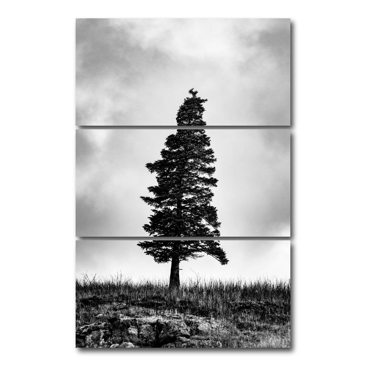AUTO-MOCKUP WHITE | Pine | 3 Piece | Gallery Wrap Canvas | group=12x24_stacked
