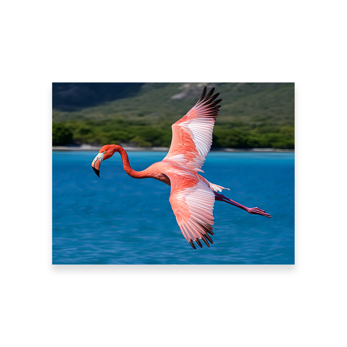 Pink Flamingo Flying Wall Art