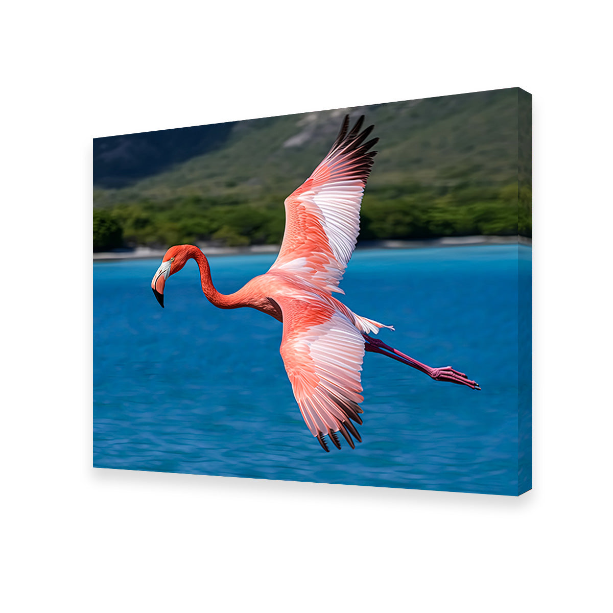 Pink Flamingo Flying Wall Art