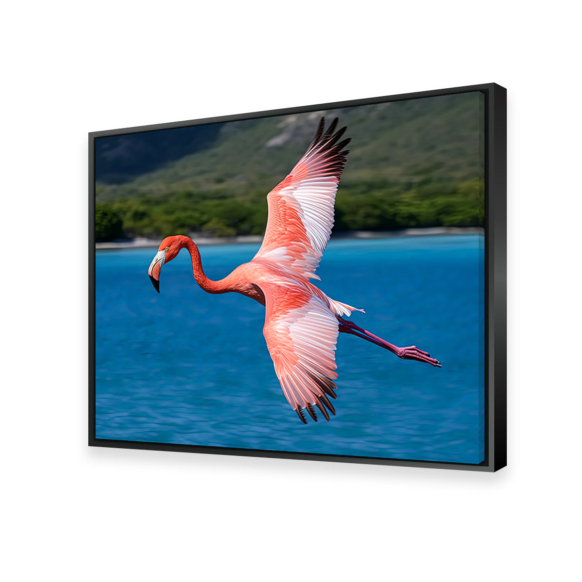 Pink Flamingo Flying Wall Art