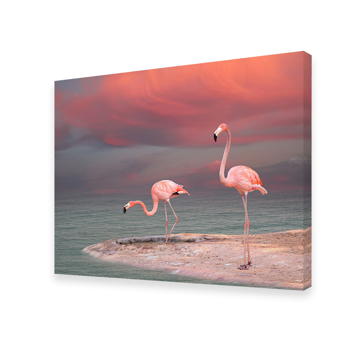 Pink Flamingo's on the Coast Wall Art