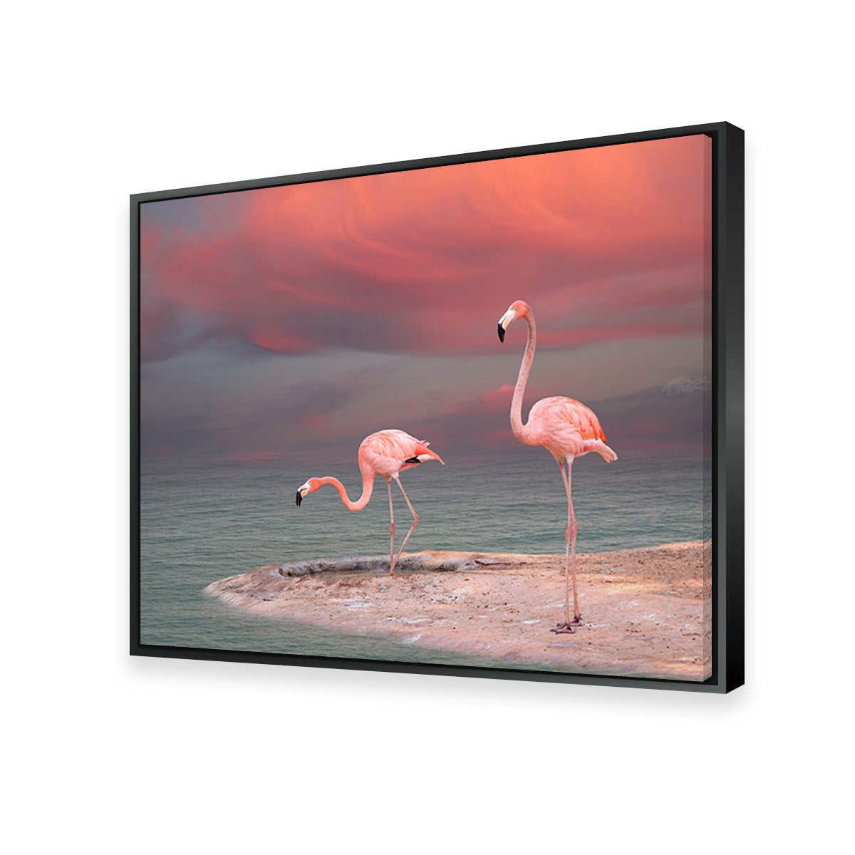 Pink Flamingo's on the Coast Wall Art