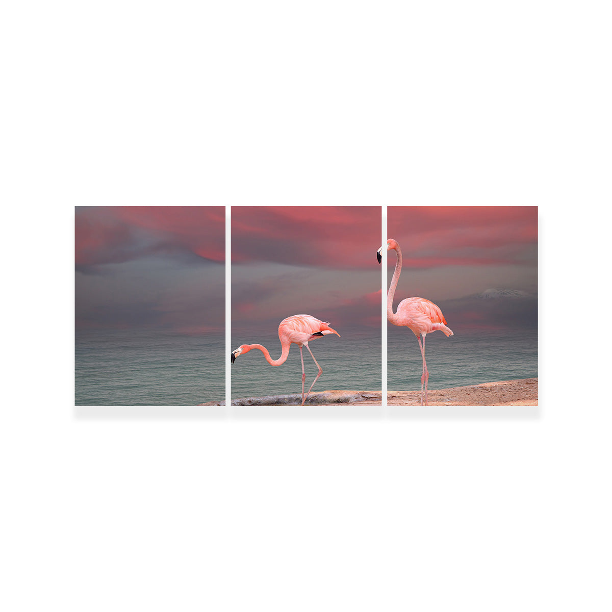 Pink Flamingo's on the Coast Wall Art